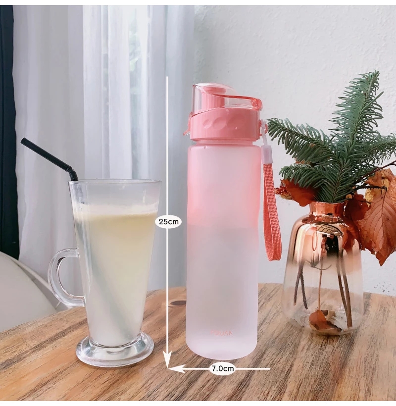 Sports Water Bottles Colorful  - Sports Equipment Logo review and price